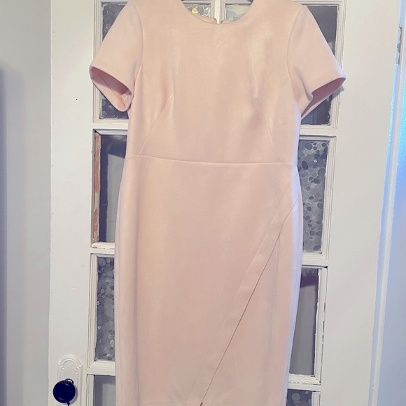 calvin klein pink suede dress Calvin Klein Primrose Pink Suede A-Line Shift Dress, Sz 6